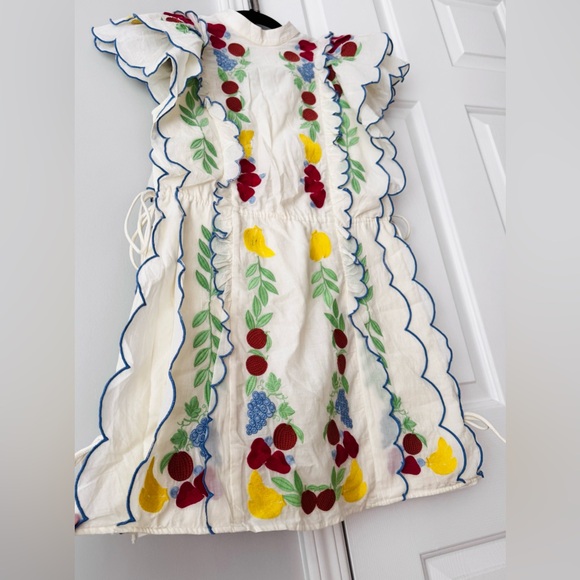 Farm Rio Embroidered Ruffle Mini Tunic Dress - Picture 9 of 15